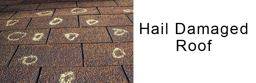 Hail-damge-shingles-from-roof-damage-from-wind-Reitz-Roofing