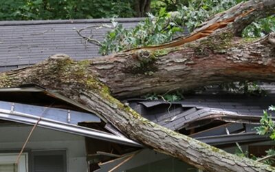 Why Roof Damage From Wind Is Sneaky!