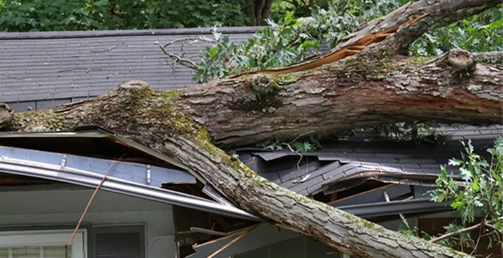 What wind speeds and gusts can usually damage houses or trees