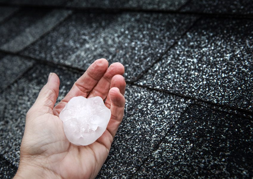 hail with asphalt shingles for roofing insurance claims