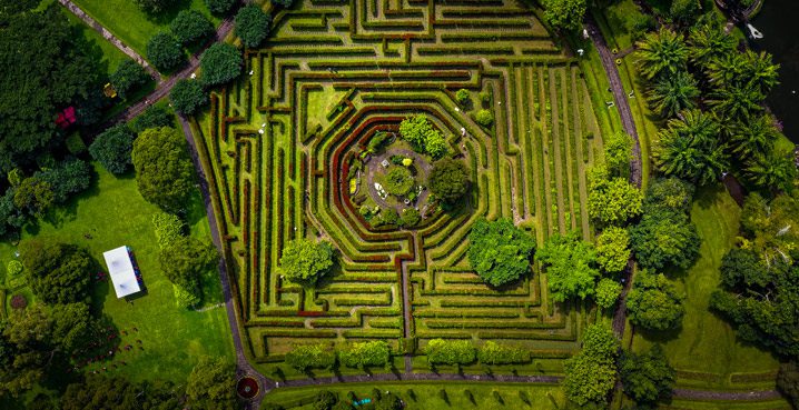 A-Labyrinth-of-shrubs-don't-get-lost-in-the-roof-claim-insurance-process