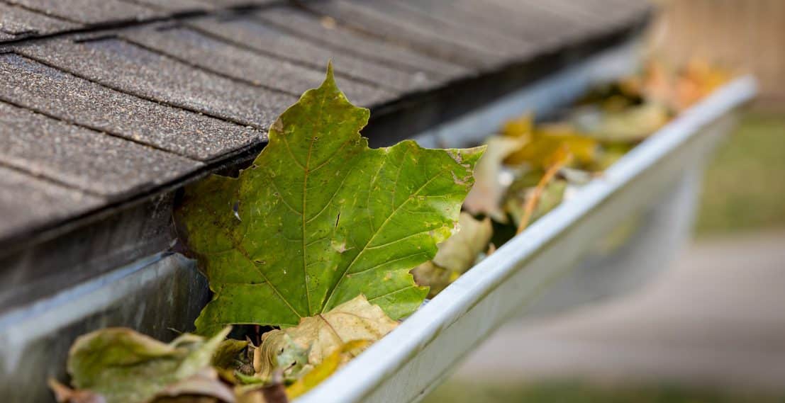 Clogged-gutters-on-roof-maintenance